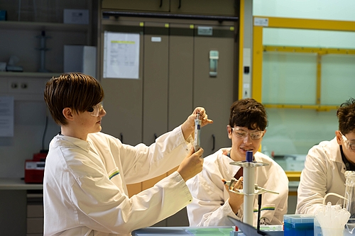 bayer26_01