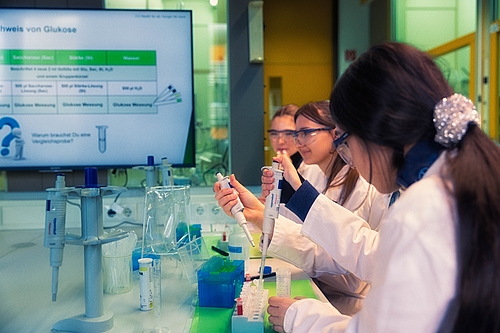 bayer26_05