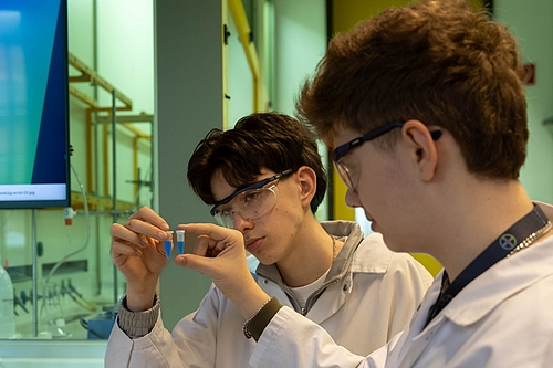 bayer26_06