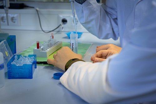 bayer26_08