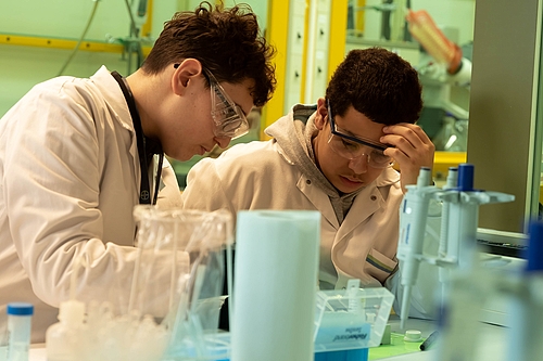 bayer26_11